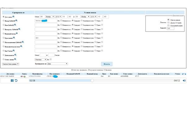 VoIP System Screenshot