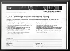 VoIP System Screenshot